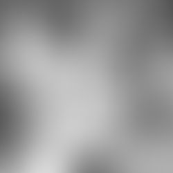 Chauffeurs d'Orgères