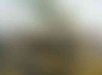 tableau