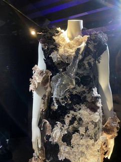 Moving Lace Musée de dentelles broderies de Caudry