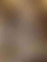 Chambre de Marie-Antoinette, reine