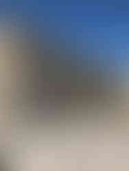 Exposition Madame de sévigné, Musée Carnavalet