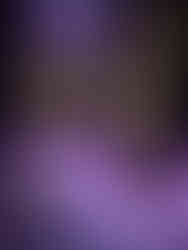 Exposition "Le Dernier Sacre"