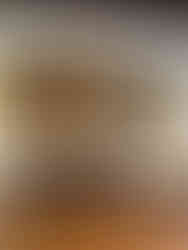 Chartreuse de Douai Musée