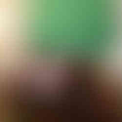 Bureau à cylindres d’époque Louis XVI en acajou, réalisé par Riesner et exposé dans le Cabinet Topographique de Napoléon 1er dans les Petits Appartements de l’empereur au château de Fontainebleau