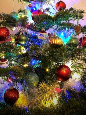 sapin