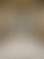 Château de Compiègne                   Oise