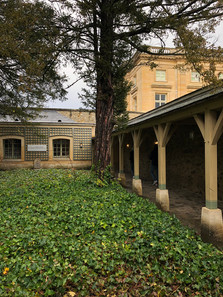 Petit Trianon                                         Château de Versailles                         Photos