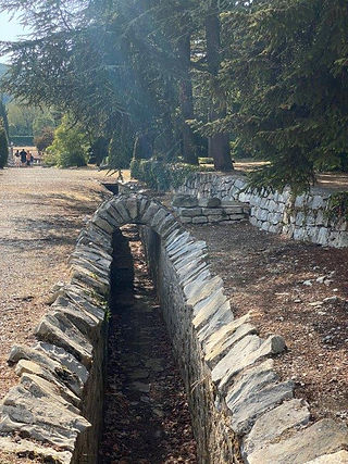 Site antique Vaison la Romaine