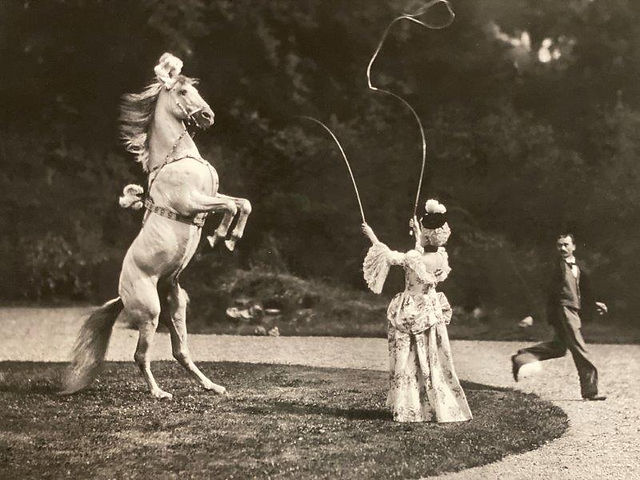 Thérèse Renz Exposition Cheval en Majesté au château de Versailles