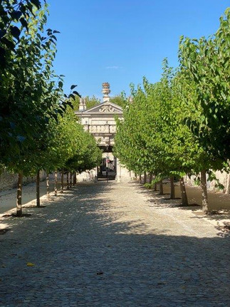 Chartreuse de Villeneuve-lès-Avignon