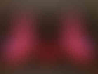 Exposition 'Le Sphinx et la Rose', Palais Idéal du Facteur Cheval