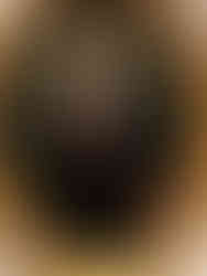 Baron Haussmann portrait