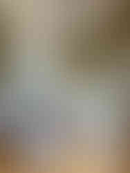 salon bleu ou des Fougères, palais de l'Elysée