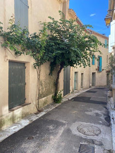 Bages, Aude, Narbonne photo