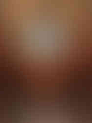 Musée des Avelines - Exposition "Saint-Cloud dans les nuages"