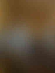 Château de Compiègne             Oise