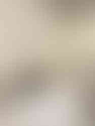 Exposition Calder, Fondation Louis Vuitton