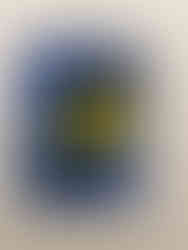 Exposition Calder, Fondation Louis Vuitton