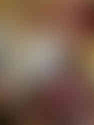 Château de Compiègne            Oise