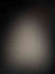 Marie-Antoinette Style - V&A