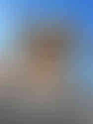 Erechthéion Acropole Athènes