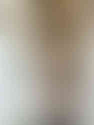 Auvers sur Oise - visite