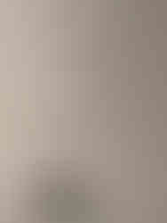 Exposition Calder, Fondation Louis Vuitton