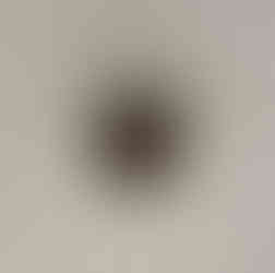 Méreau avec écusson et au revers un motif de château de Castille, Crypte archéologique de l'île de la Cité à Paris, exposition Dans la Seine, parvis Notre-Dame de Paris