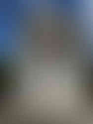 Musée des Avelines - Exposition "Saint-Cloud dans les nuages"