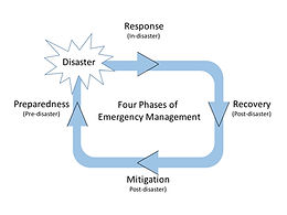 Disaster City Digital Twin: Integrating Machine and Human Intelligence to Augment Flood Resilience