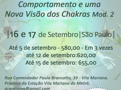 CURSO PRESENCIAL COM SANDRA EPSTEIN EM SÃO PAULO