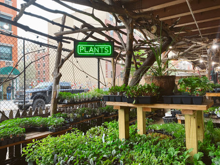 Garden Sales in Bloom - Nicole McNulty 