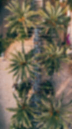 location scouting wedding planning