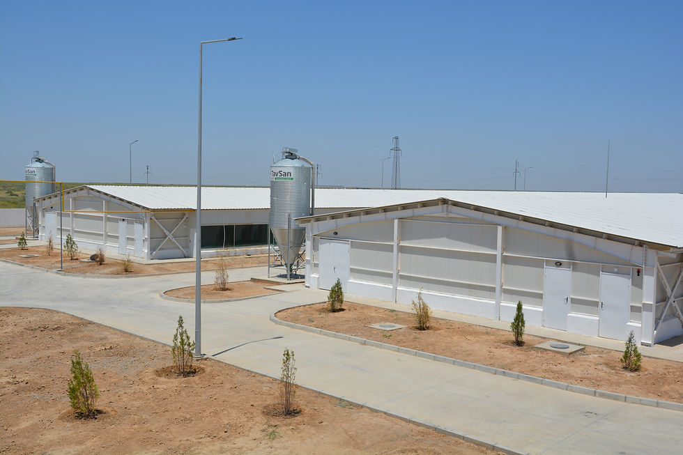 towukferma_0652