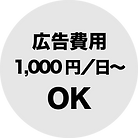 YouTube広告費用1,000円/日~OK
