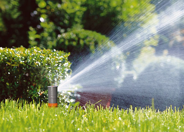 Jardineria | Compañia Exim s.a.