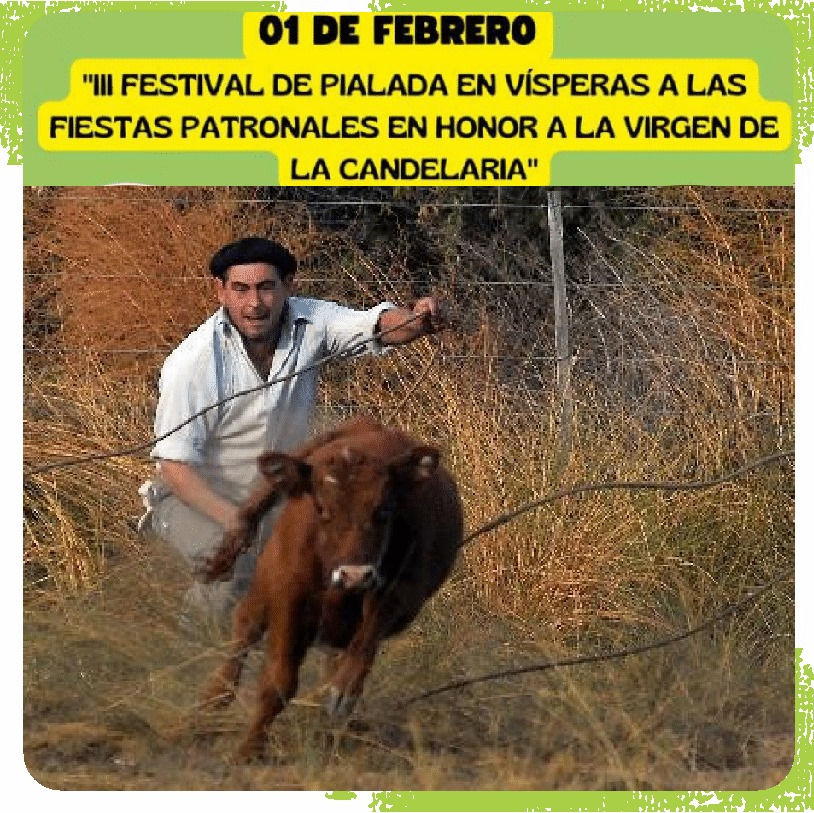 Festival de la Pialada en Honor a la Virgen de la Candelaria.