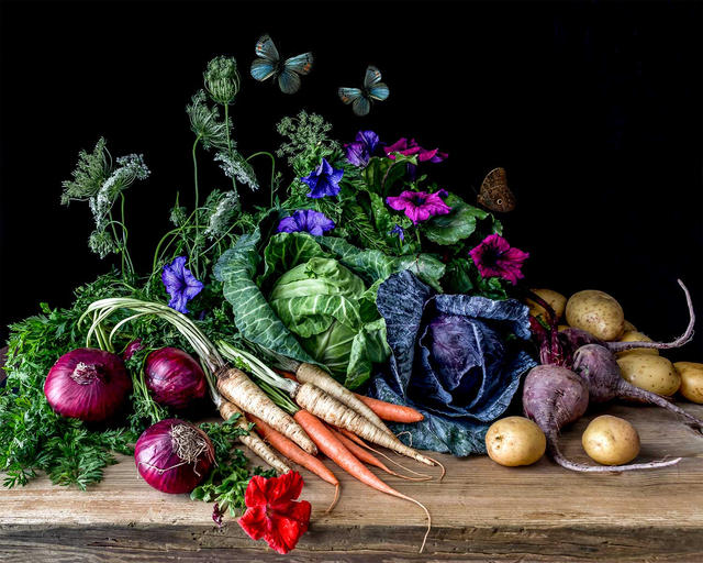 Vegetables and Petunias