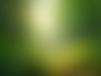 Top Sustainable Practices for Modern Businesses