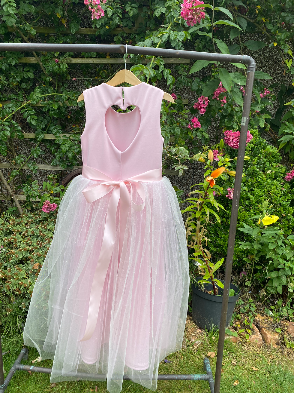 Thumbnail: Pale pink sparkly tutu dress