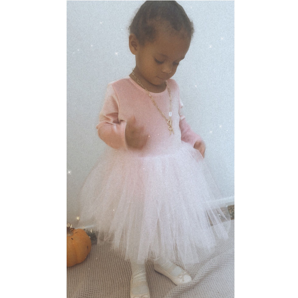 Thumbnail: A handmade pale pink velvet tutu dress with long sleeves. It features a soft pale pink tulle skirt that falls knee length. The perfect flower girl, birthday dress or Christmas party dress