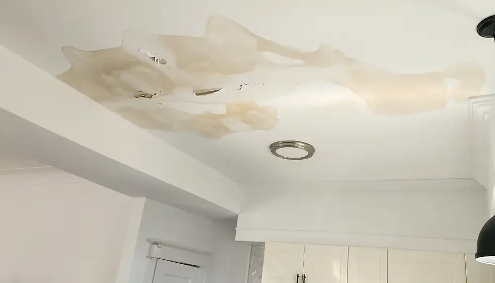 Ceiling Water Damage