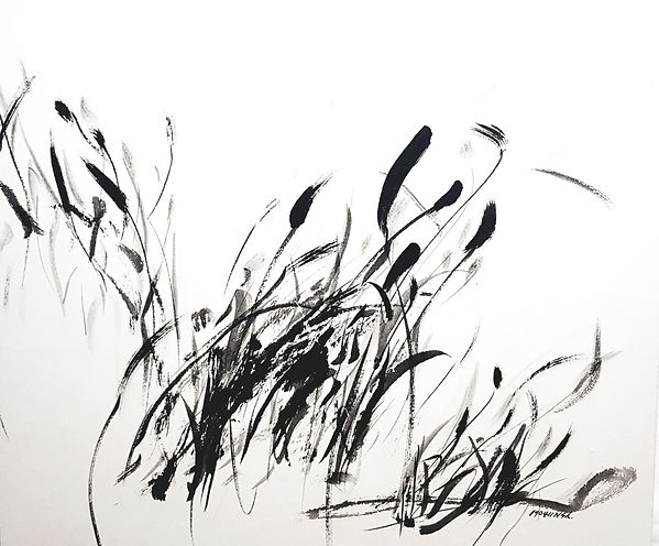 재료 : 한지에 먹 사이즈 : 65×43 작품명 : 강아지풀 190501