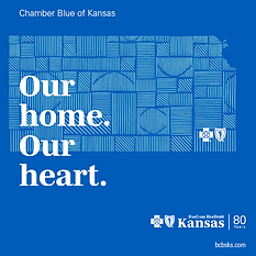 Chamber Blue Brochure.png