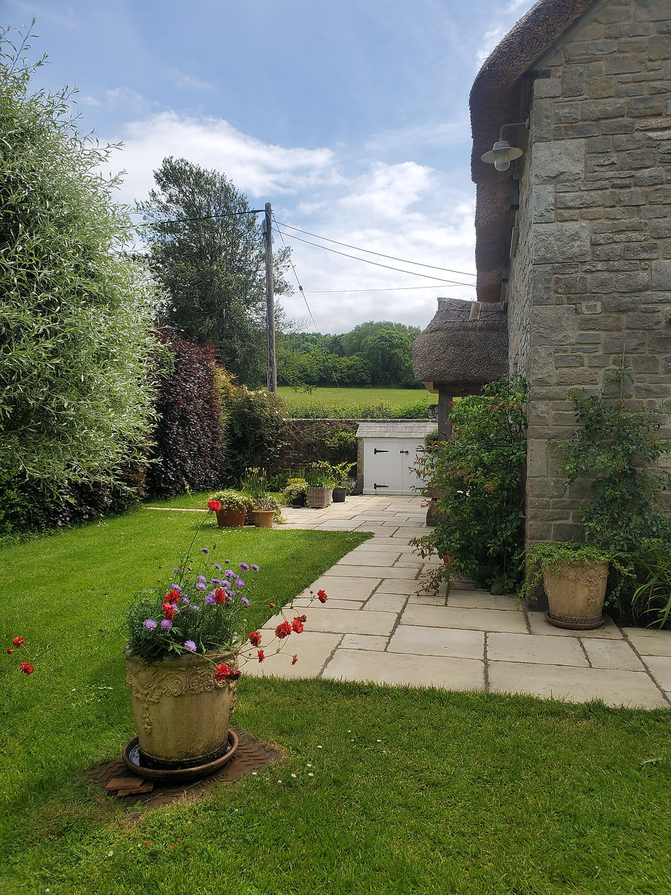 Garden Visit - Folly Farm Cottage, Askerswell. 3rd June