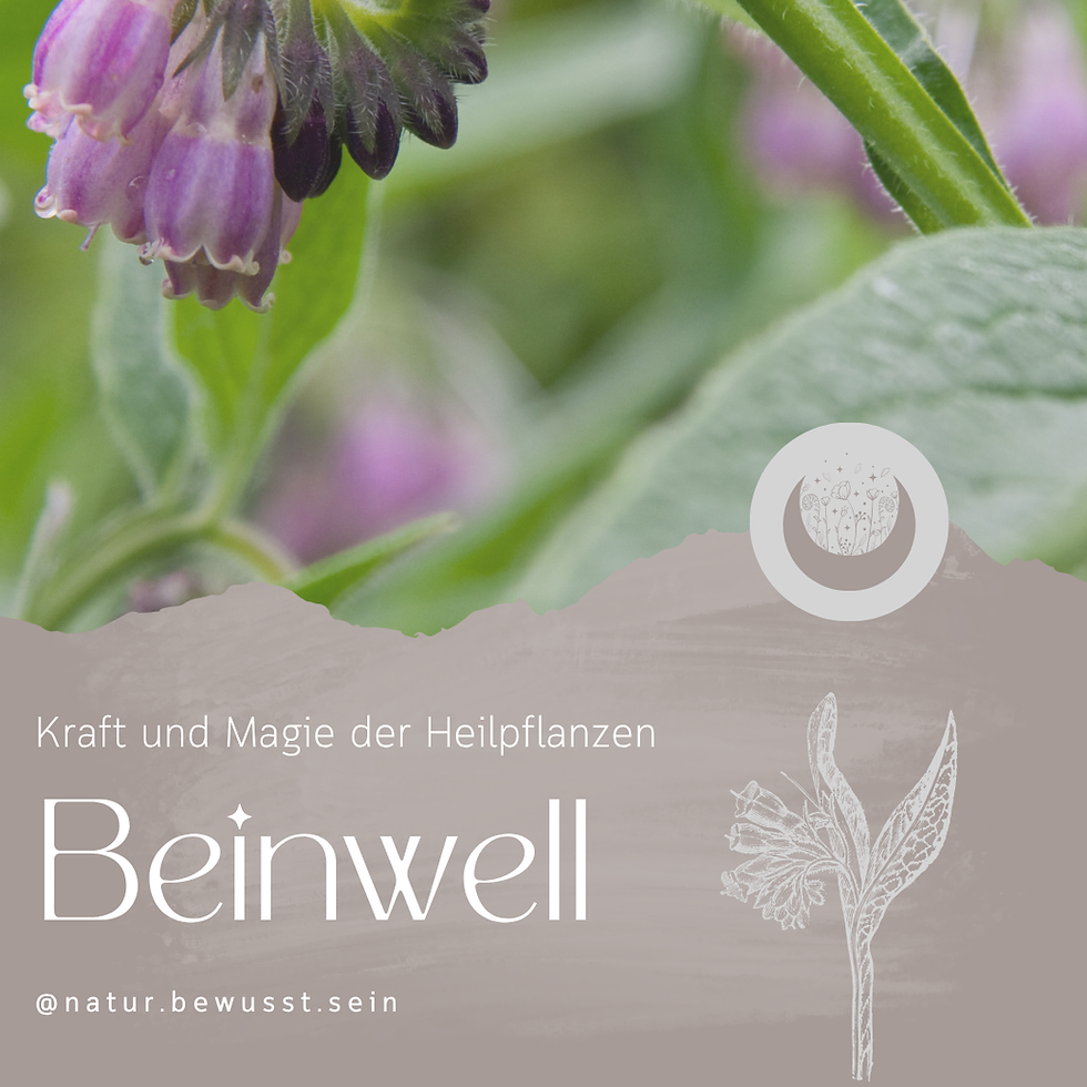 Beinwell