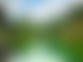 2019 Shareholder Impact Report