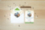 Party Invitations