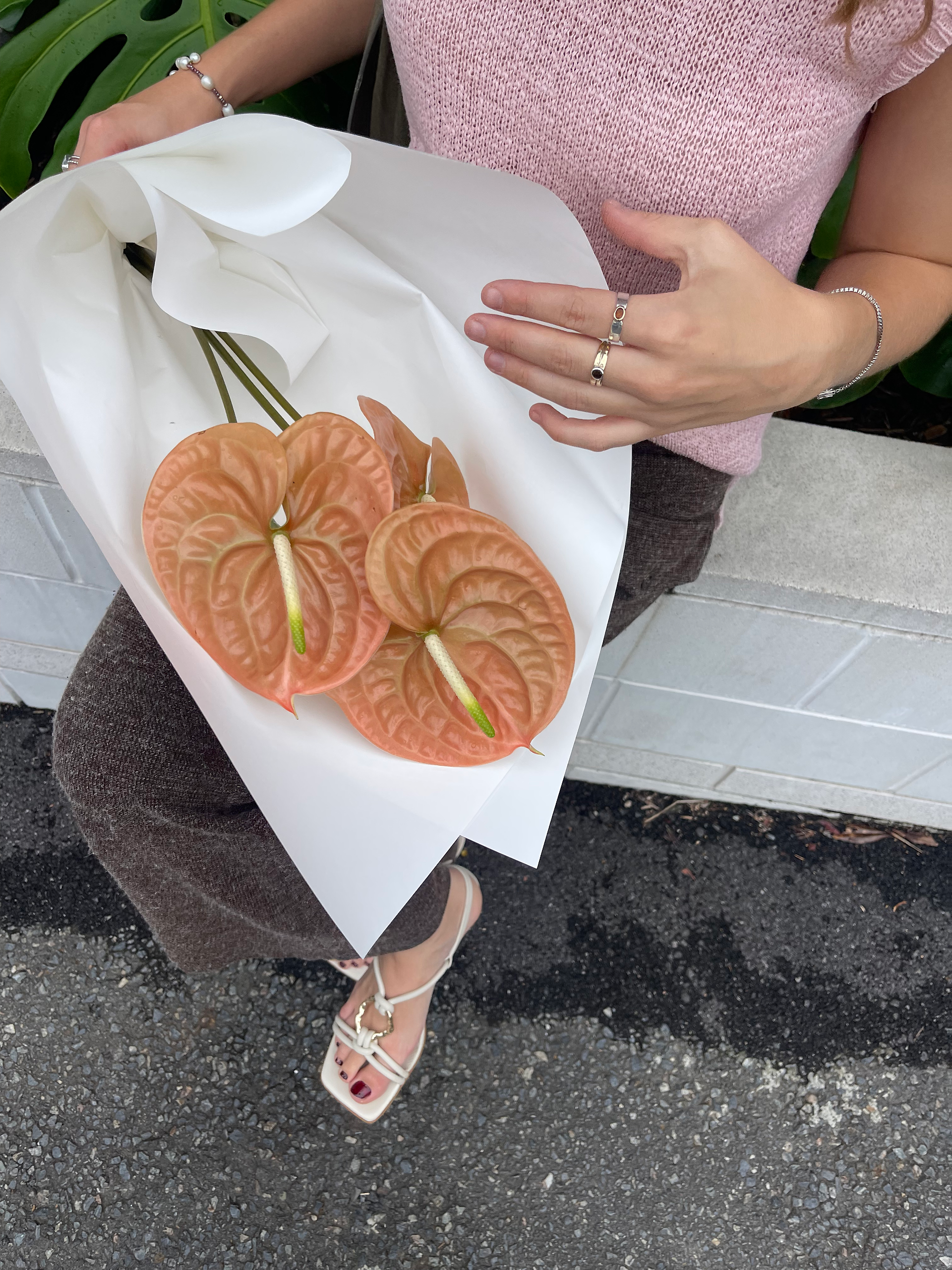 Brisbane lux florals | Same day delivery
