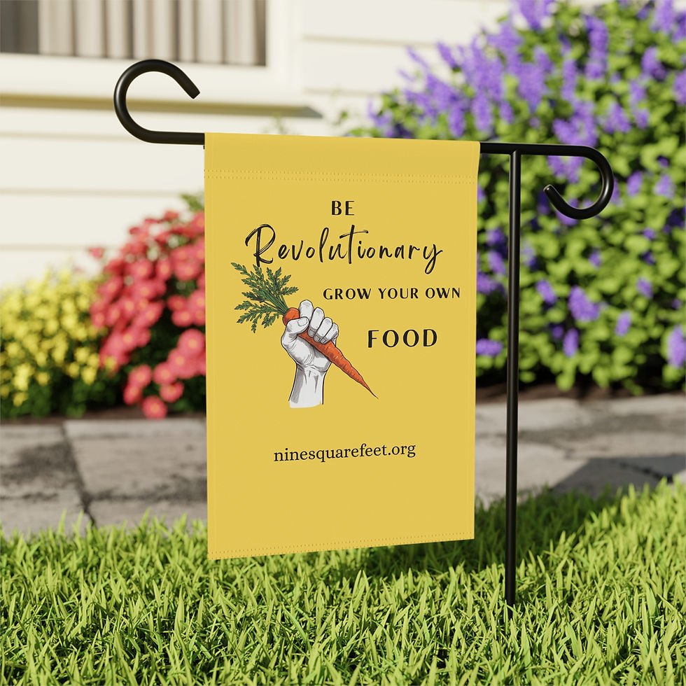 Thumbnail: Be Revolutionary Garden Flag